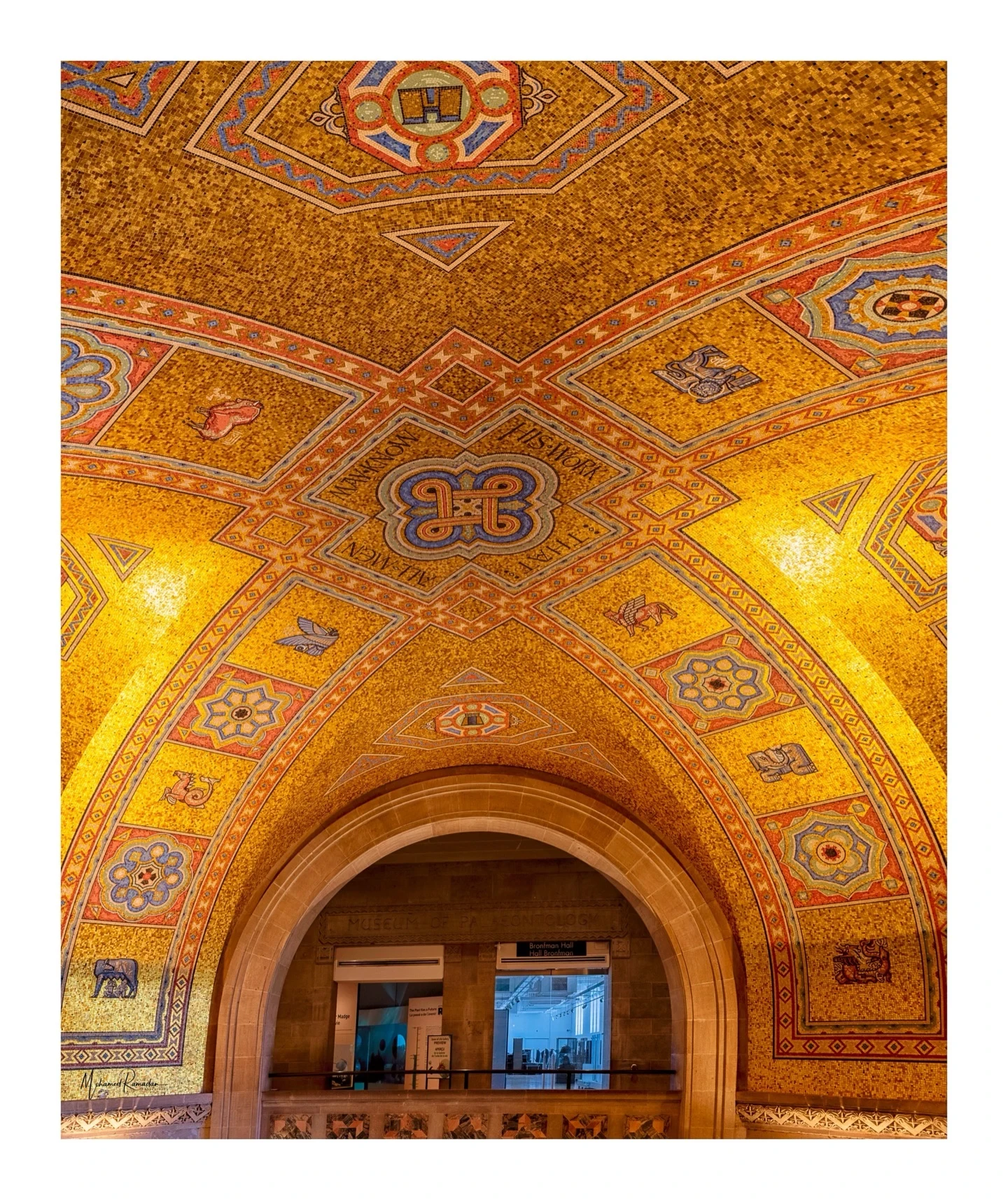 ROM Museum Golden Ceiling Framed Panorama