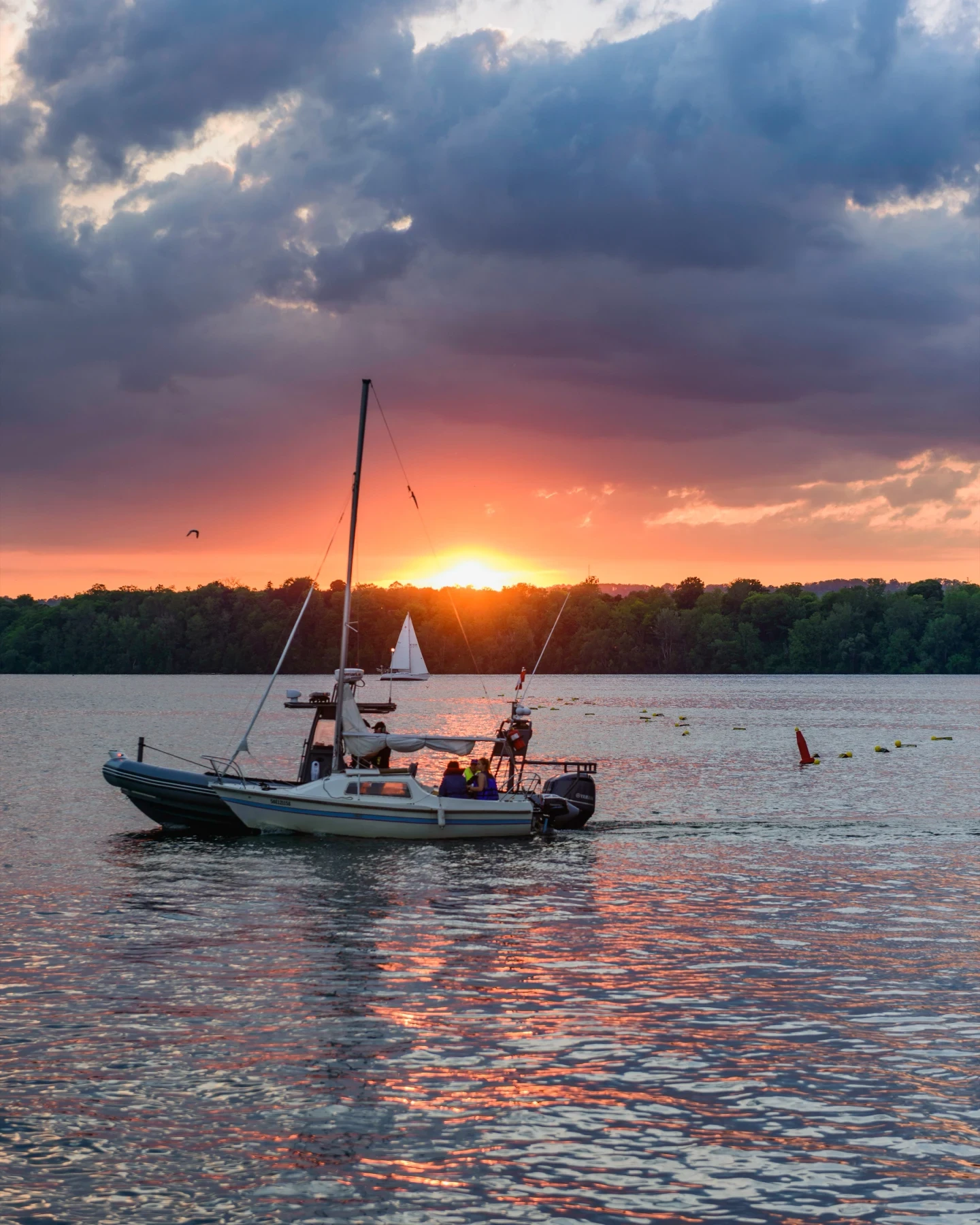 Hamilton Harbour Sailboat Golden Sunset Stormy Sky