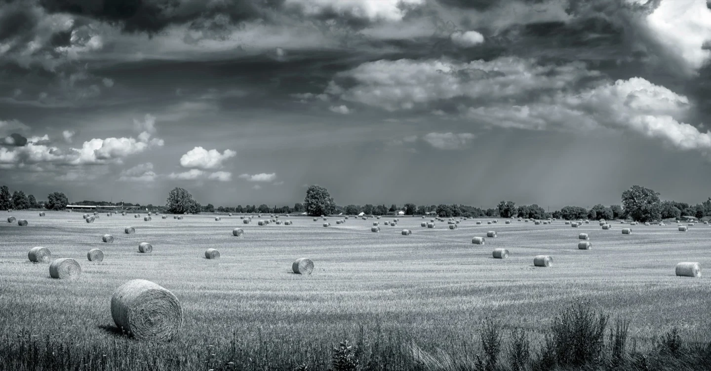 Ontario Hay Fields Landscape