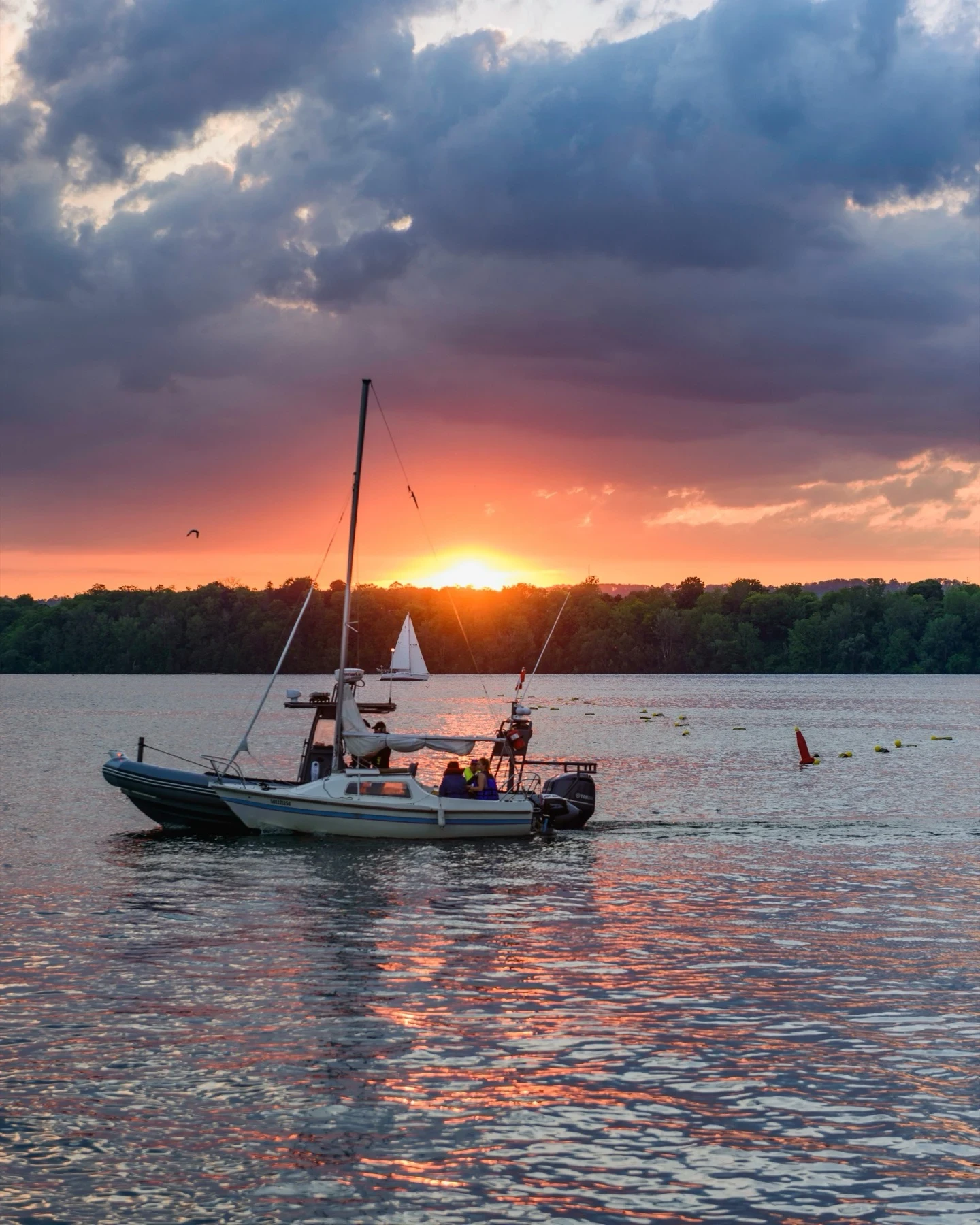 Hamilton Harbour Sailboat Golden Sunset Stormy Sky