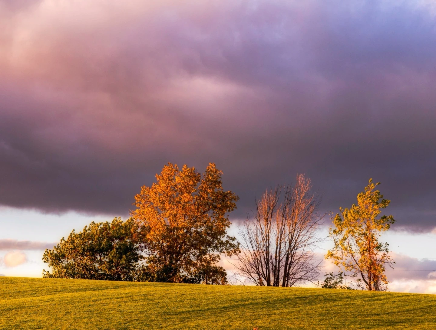Ontario Countryside Golden Hour Landscape