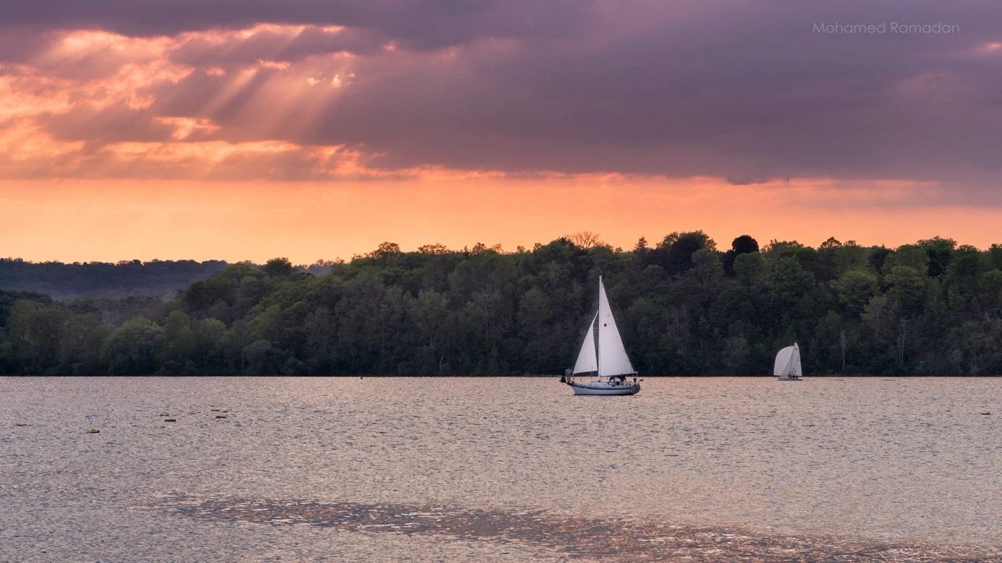 Sailboat Sailing Away Golden Sunset