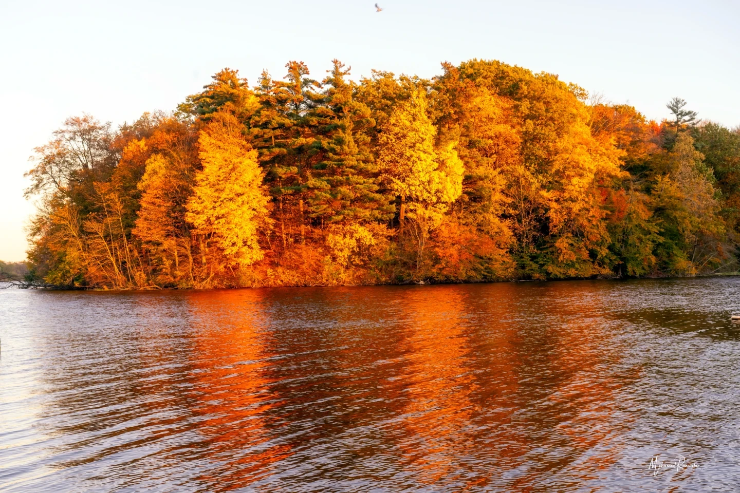 Christie Lake Fall Colors Autumn Ontario