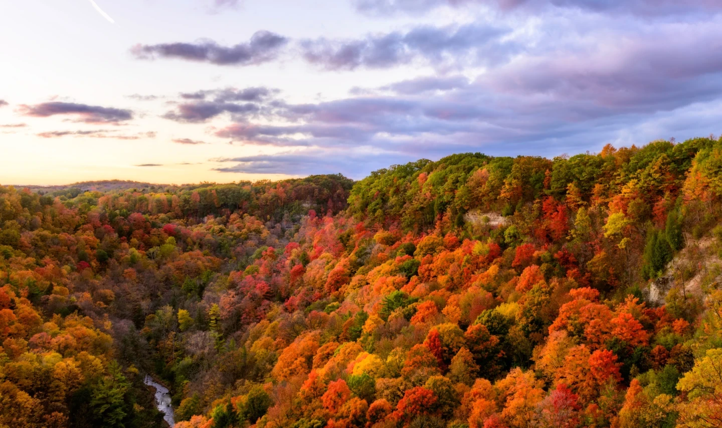 Dundas Peak Fall Colors Hamilton Ontario