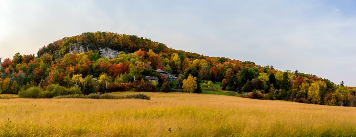 Kelso Conservation Autumn Panorama
