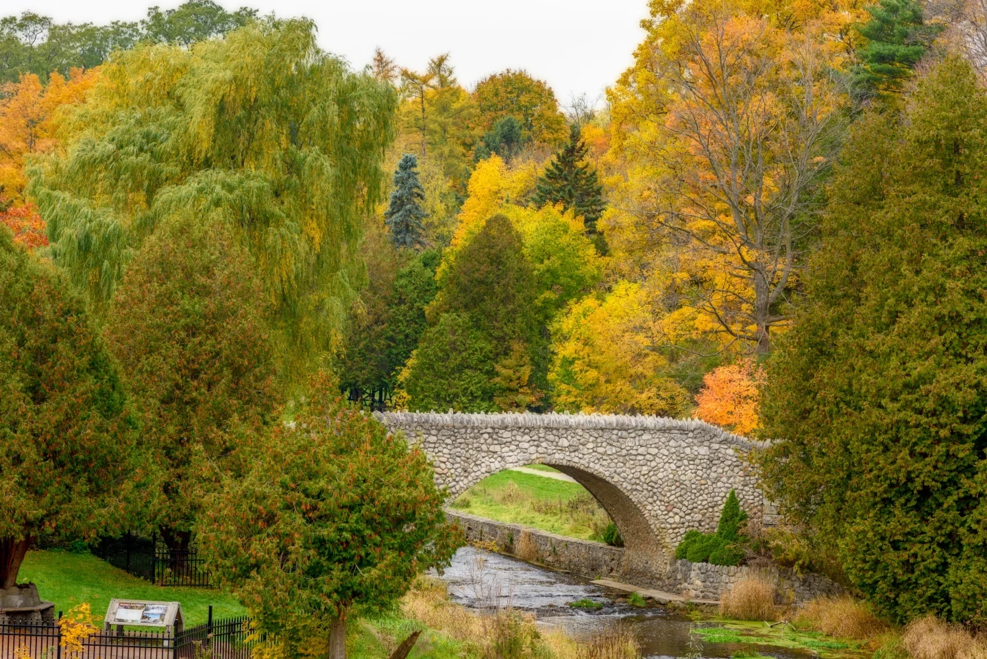 Webster Falls Bridge Autumn Reflection