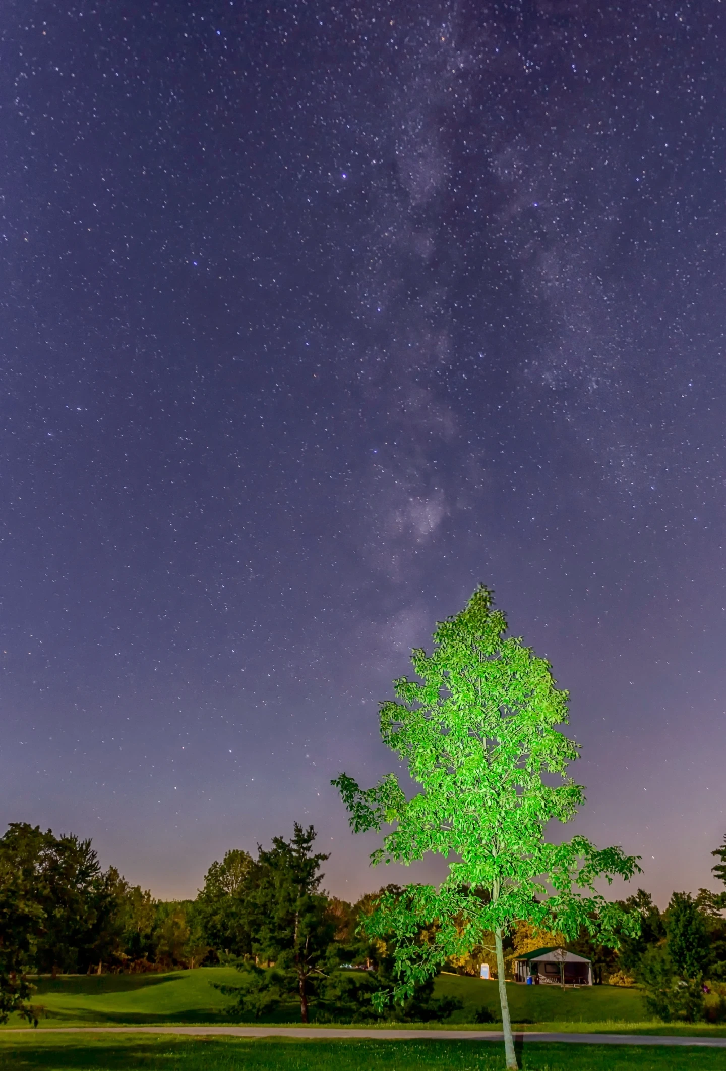 Binbrook Conservation Ontario Landscape
