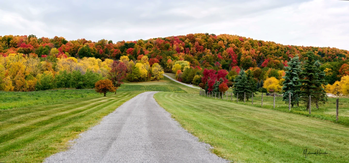 Kelso Conservation Panorama