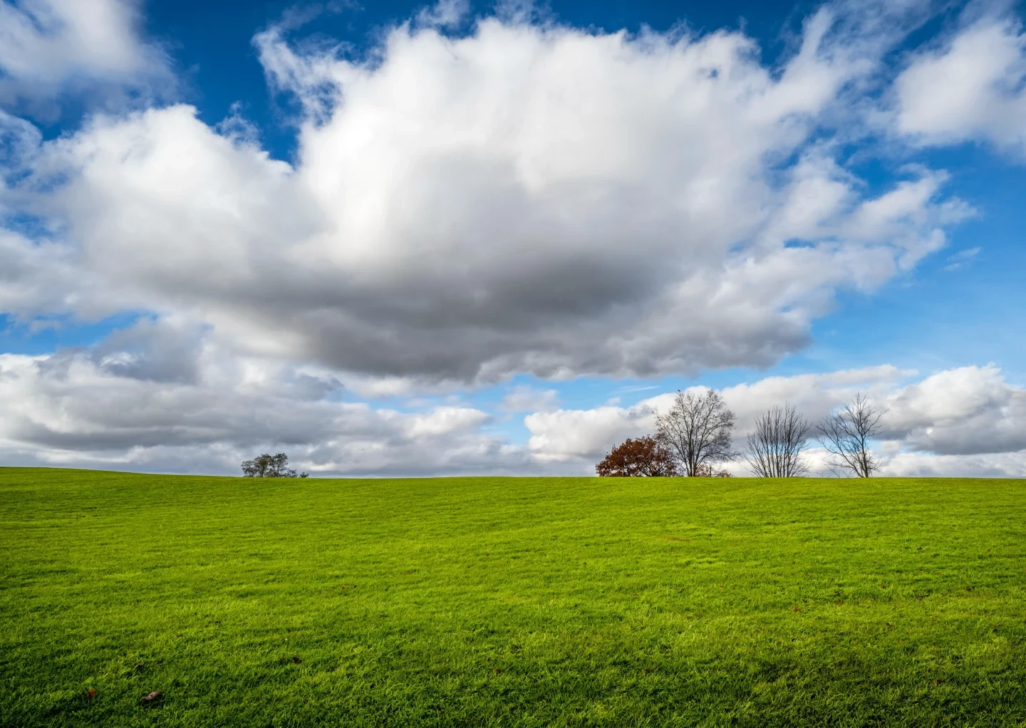 Ontario Countryside Green Landscape