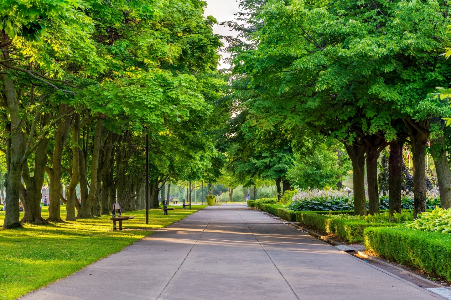 Toronto Lakeshore Path Summer Landscape