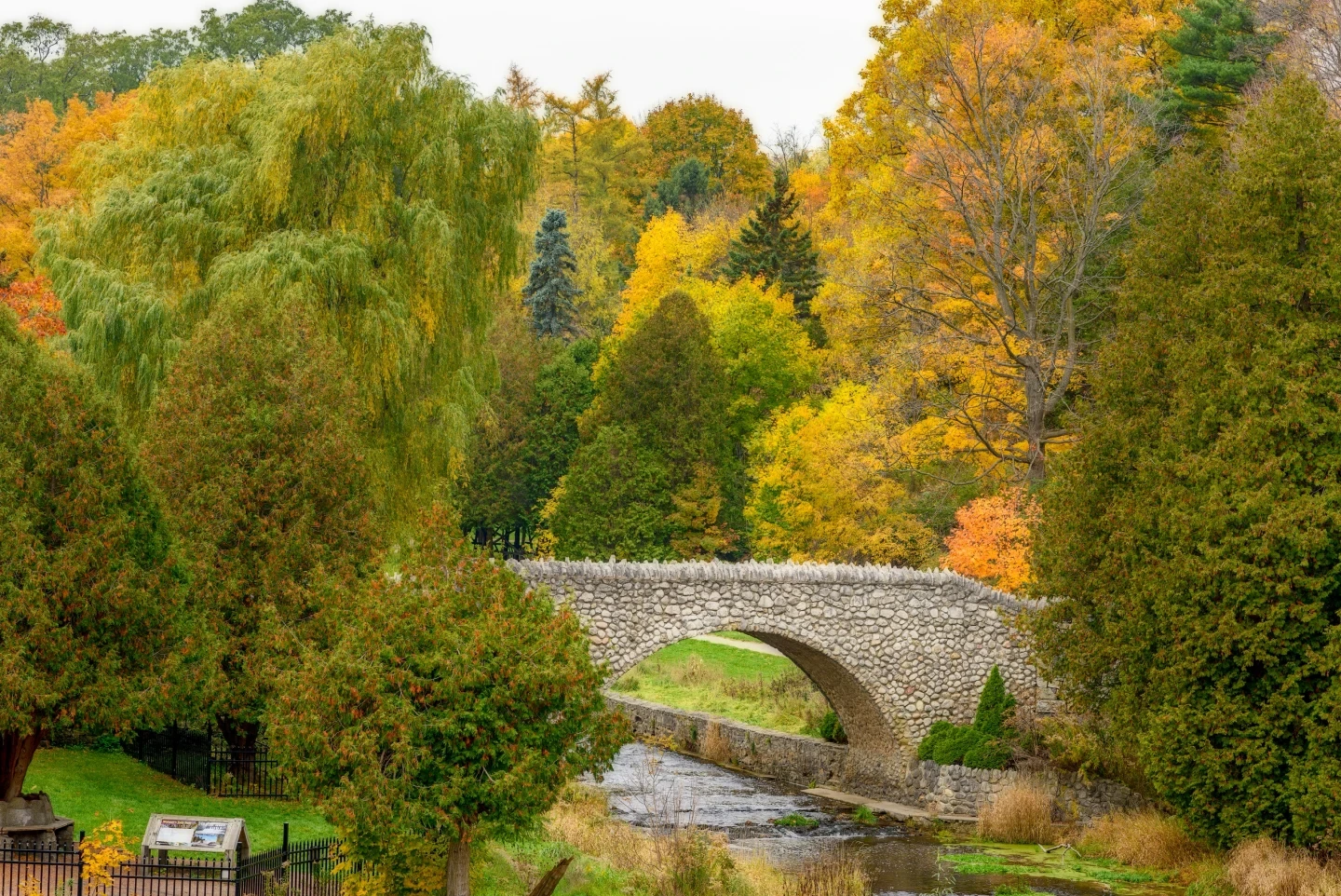 Webster Falls Bridge Autumn Ontario