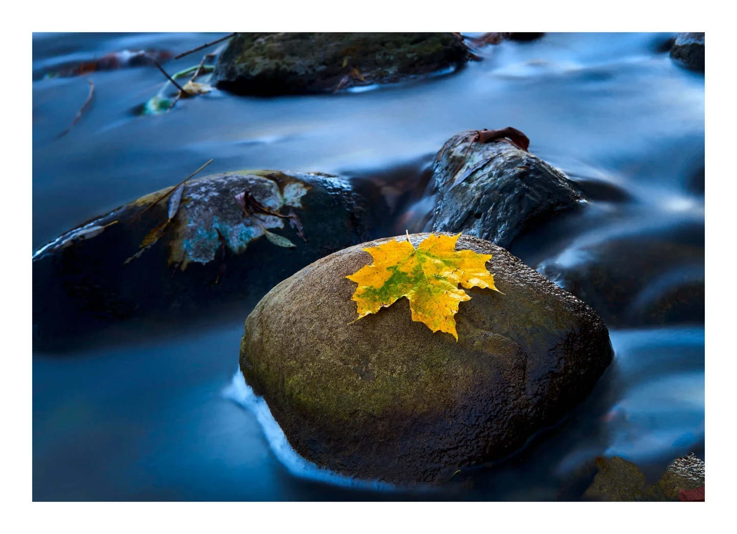Lonely Fine Art Ontario