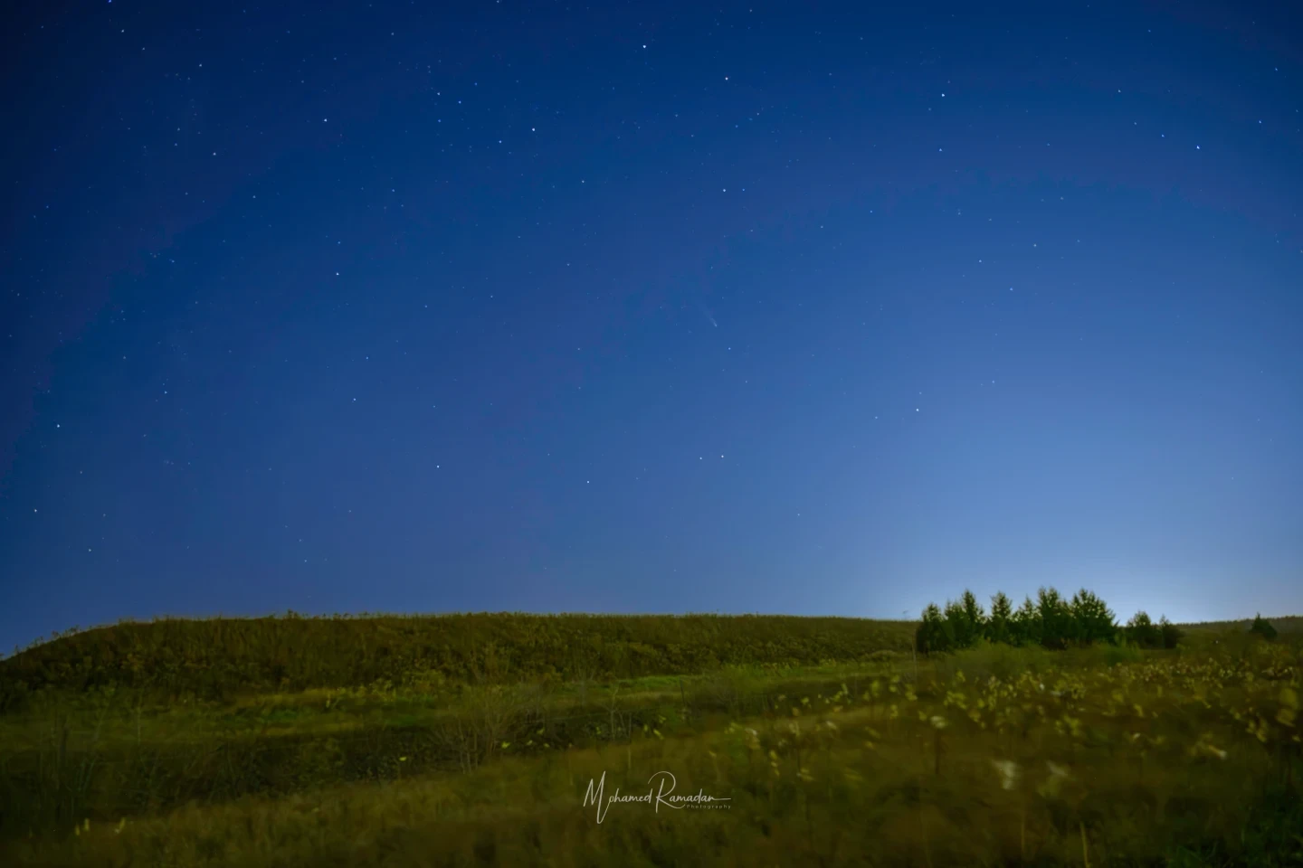 Comet Tsuchinshan Atlas Tree Silhouette Ontario Night