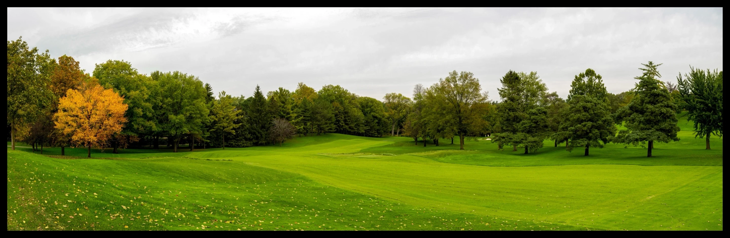 Ancaster Golf Course Summer Panorama