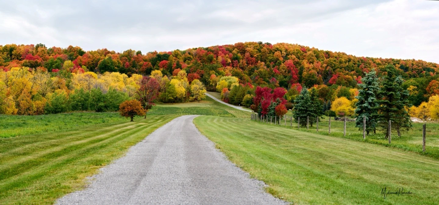 Kelso Conservation Panorama