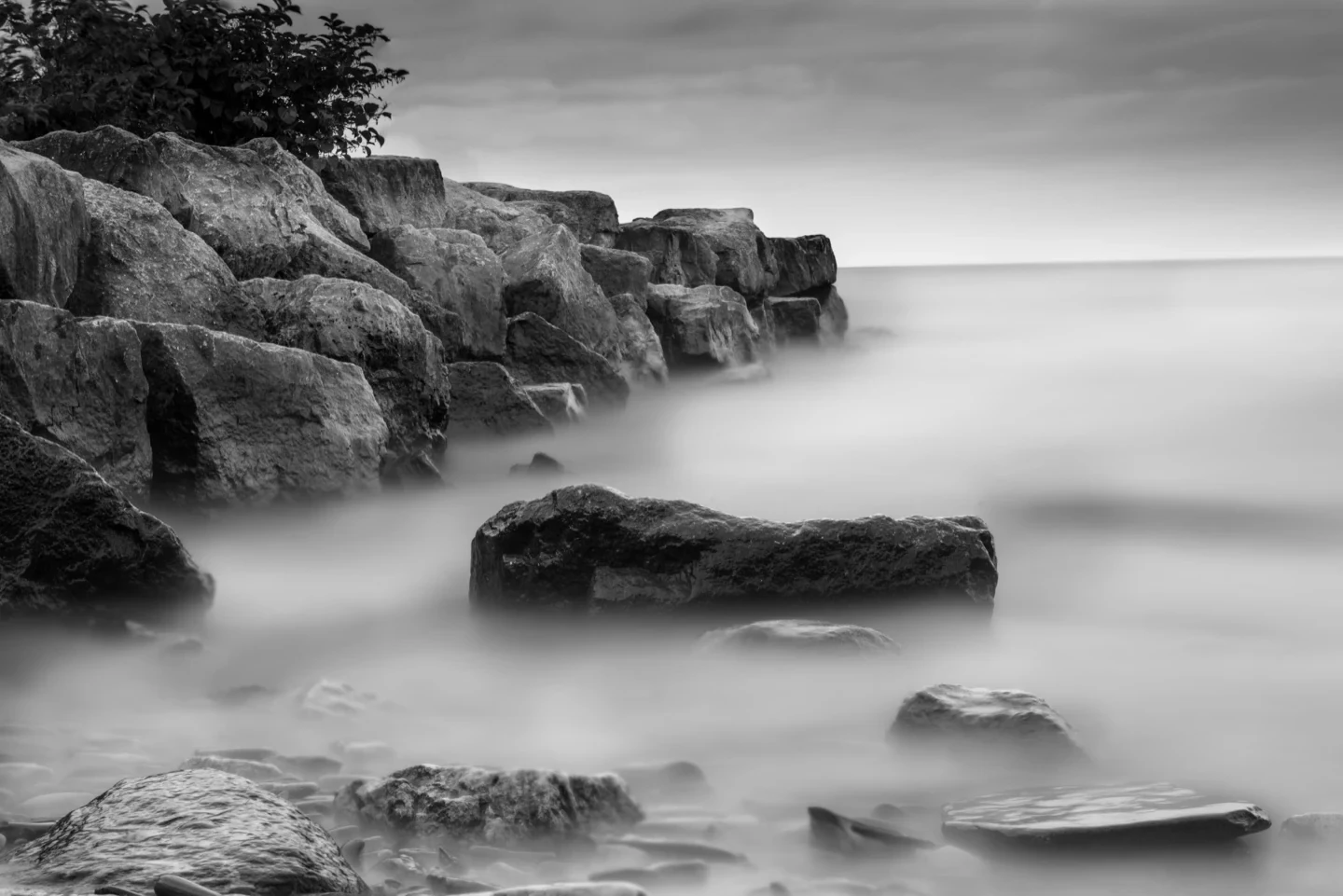 Coronation Park Black White Fine Art