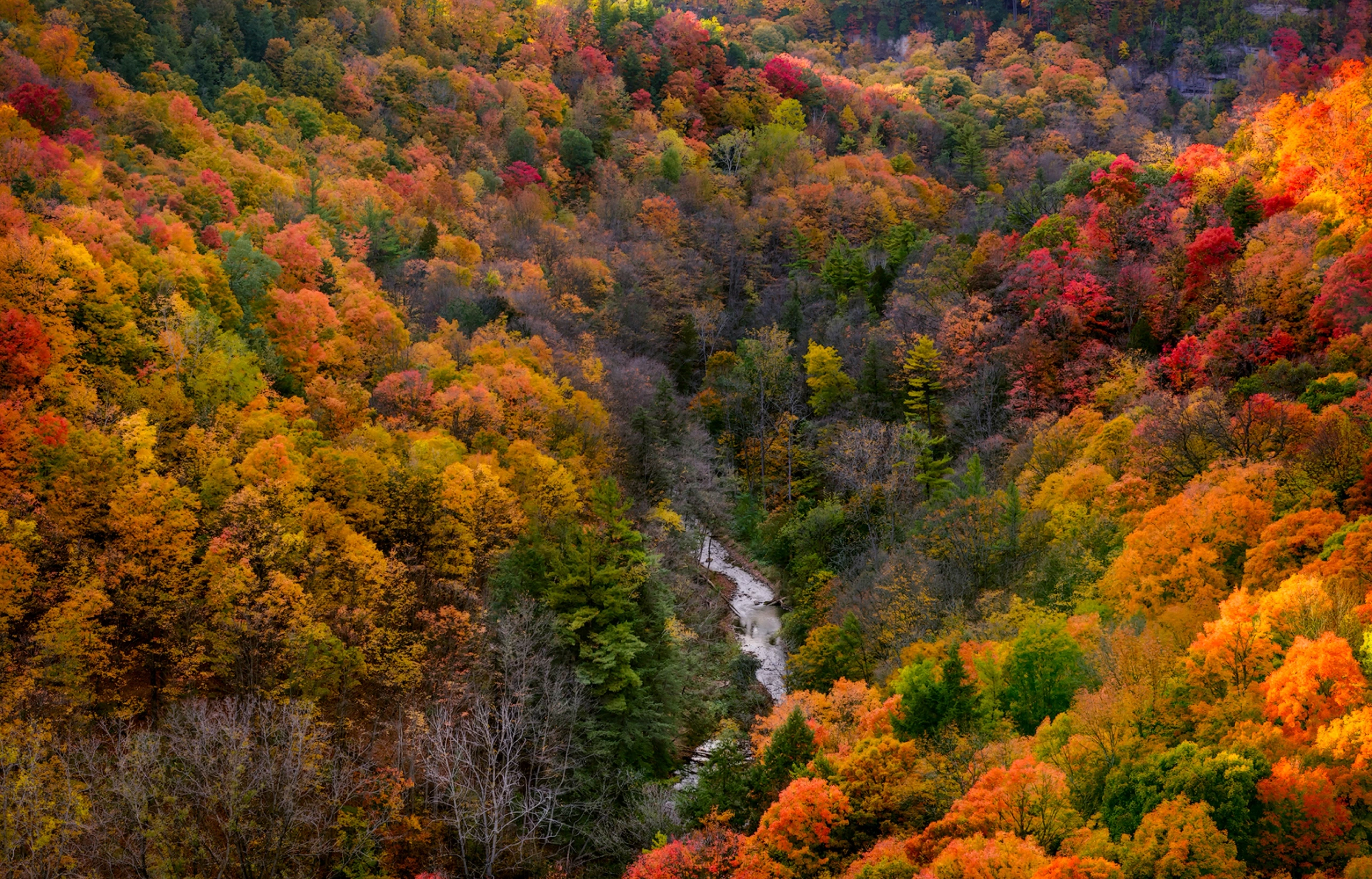 Ontario Autumn Colorama Fall Colors